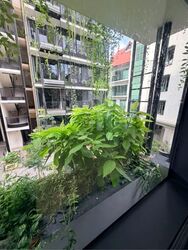 Jervois Mansion (D10), Apartment #533430841
